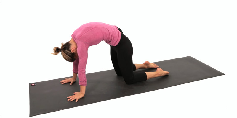 A woman demonstrates cat pose on all fours, on her yoga mat.