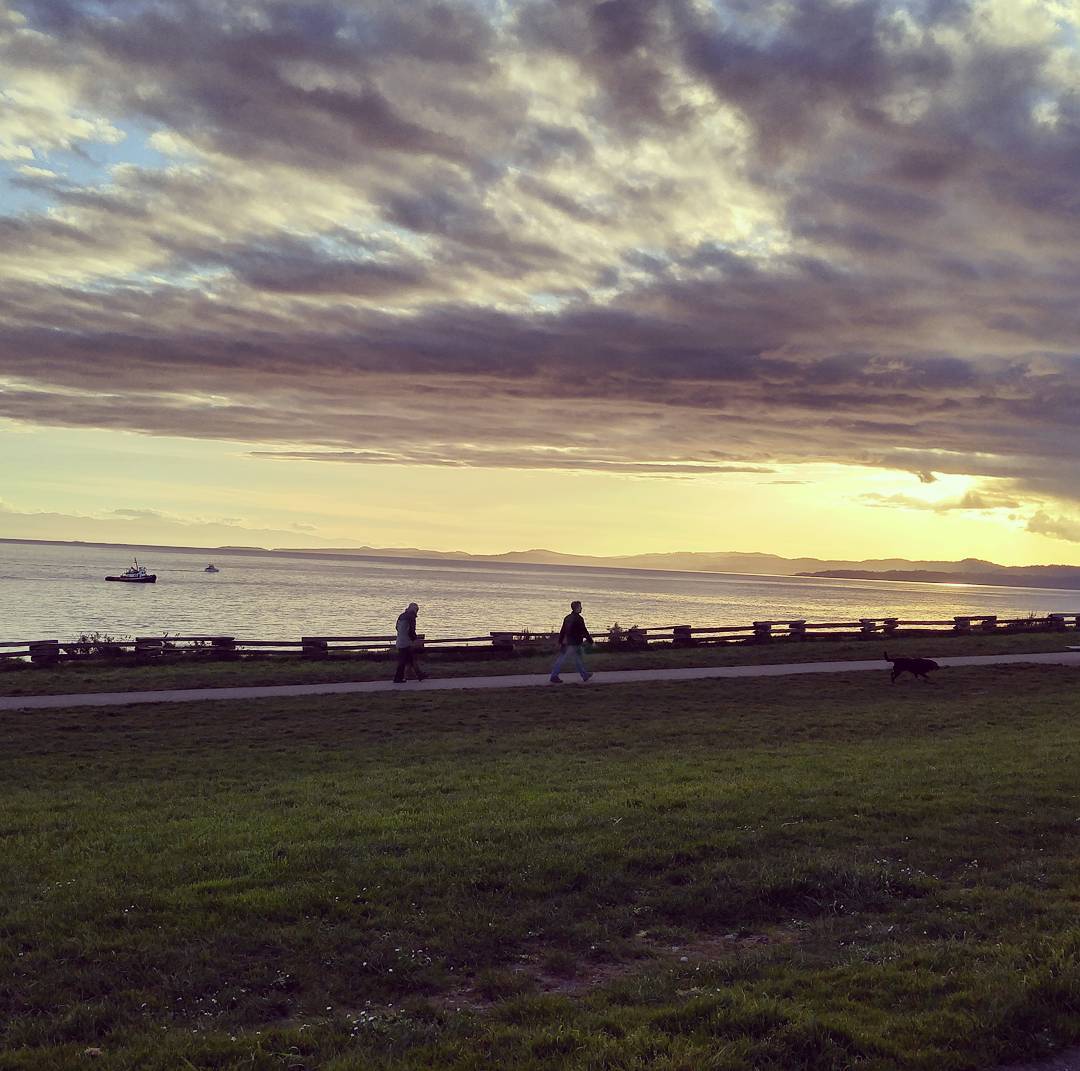 A stretch of green grass is in the foreground, and it meets a paved path which cuts across the photo horizontally slightly below center. There are two people who are silhouettes walking on the path and a black dog running ahead of them. Past the path in the background is the ocean, and the sun is setting to the right. Above the setting sun the clouds are swirling and a mix of blues, purples, and greys.