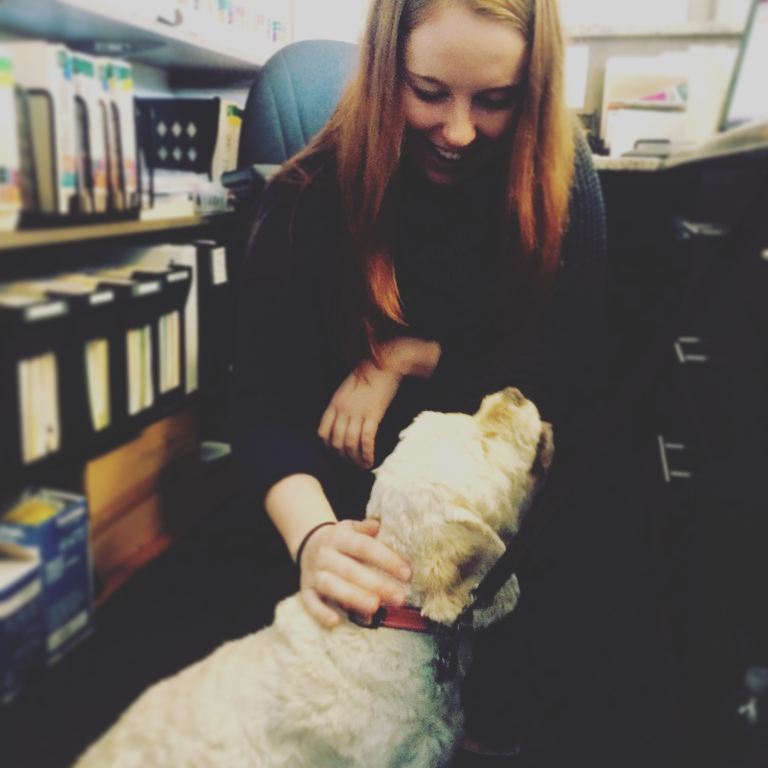 A photo of a woman with long strawberry blonde hair looking down at a white medium sized dog who's head is in her lap. The the left are flies and binders on bookselves, and to the right are black drawers under a high front desk.