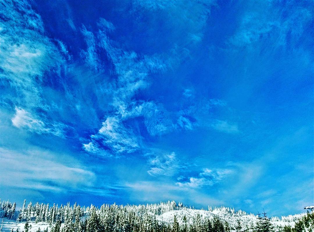This photo is mostly of a bright blue sky with white swirling clouds, but along the bottom we also see a landscape filled with evergreen trees and absolutely covered in white snow.