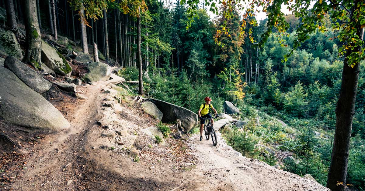 A mountain biker takes a rest near the top of a forest trail.