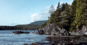 Forest and ocean on Vancouver Island.