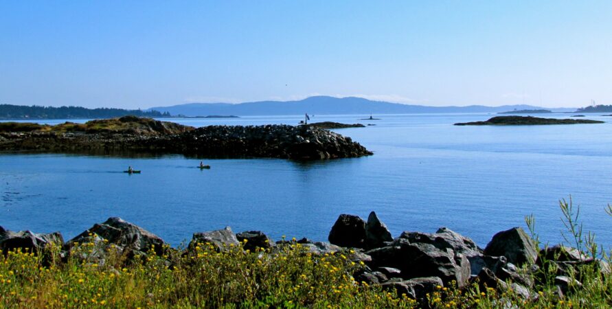 Two kayakers just off shore near Oak Bay Marina