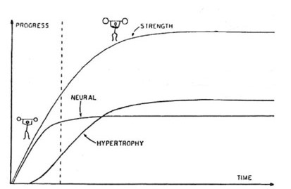 A graph showing how neural adaptations are responsible for early changes in strength.