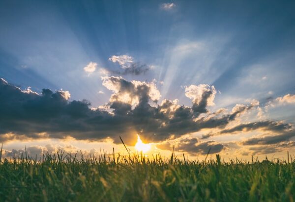 A sunset through clouds over a grassy field.