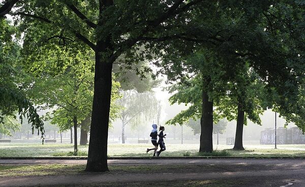 Two people jogging in a park surrounded by trees.